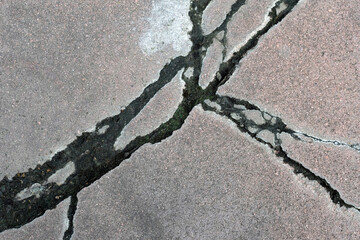 Obraz premium crack in the asphalt