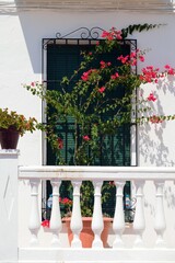 Balcón con flores en Tolox, provincia de Málaga