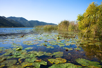 boat trip on the Neretva River,