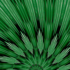 Obraz premium exploding bright green and black floral fantasy petals rotating motion blur