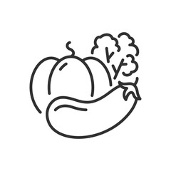 Vegetables, linear icon, pumpkin eggplant broccoli. Line with editable stroke