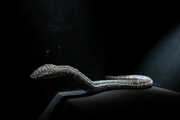 Elegant silver snake on a black stand against a dark background