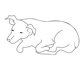 Dog. Outline drawing of pet lies and sleeps. Vector illustration. hand drawn .