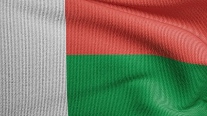 Madagascar Flag photo texture 