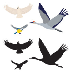 flying birds in doodle style isolated vector