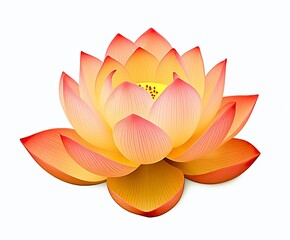 Lotus flower on white background.