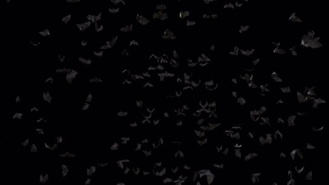 Halloween Bat Crowds on alpha channel.3D rendering. You can place on footage or background and easier to change color.