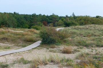 Wooden paths on the sands near Klaipeda city in Lithuania