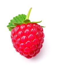 raspberry isolated on white. Generative AI