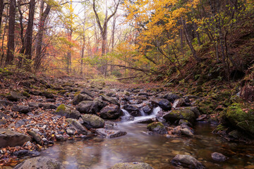 Naklejka na ściany i meble Autumn landscape, mountain stream in the forest