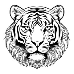 tiger head vector illustration