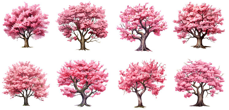 Cherry tree illustration clipart. Generative AI.