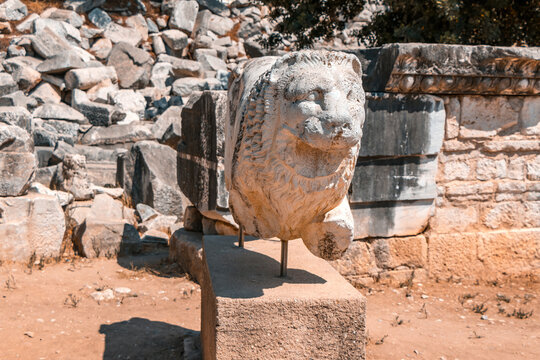 Lion figure found in the ancient Temple of Apollo in Didim, Aydin