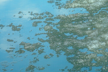 Puddle with blue water, snow and ice