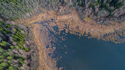 Aerial drone view over beautiful autumn forest and swamp landscape. Colourful trees in the wood. 