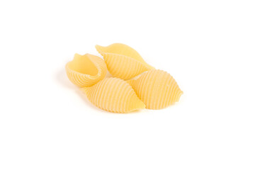 conchiglie pasta shell
