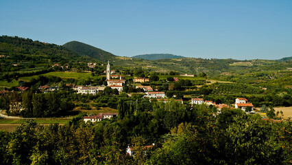 Fototapeta na wymiar I vigneti dei Colli Euganei. Parco regionale dei Colli Euganei. Padova. Italia