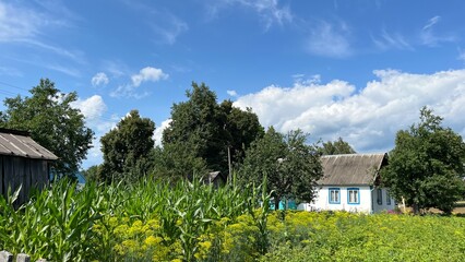 A typical private house in a rural steppe area in the nature of Ukraine on a beautiful sunny summer day. Relaxing rural landscape.