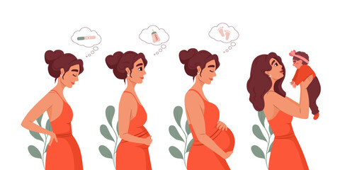 Stages of pregnancy. Pregnant woman waiting baby. Motherhood and maternity concept. Cartoon parent. Family love, beautiful female. Birth expecting. Happy mother. White background. Vector illustration