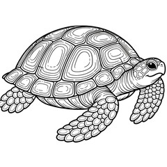 Fototapeta premium 動物のぬり絵_animal coloring book
