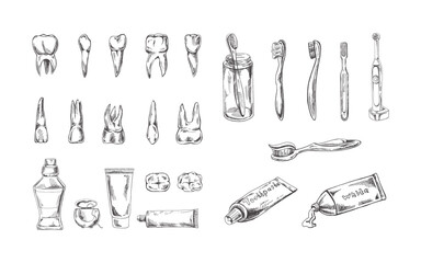Stomatology hand drawn set. Toothache treatment. Teeth sketch. Different types of human tooth. Toothbrushes and pastes. Dental care, dental instruments.