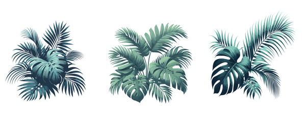 Fototapeta na wymiar Palm, Monstera Deliciosa branches in watercolor, vector on transparent background