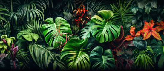 Green tropical leaves as background - obrazy, fototapety, plakaty
