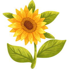 Cute hand drawn watercolor sunflower illustration