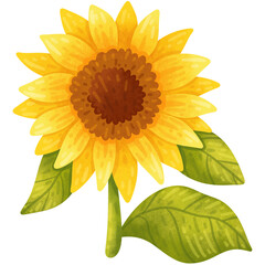 Cute hand drawn watercolor sunflower illustration