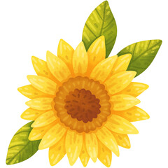 Cute hand drawn watercolor sunflower illustration