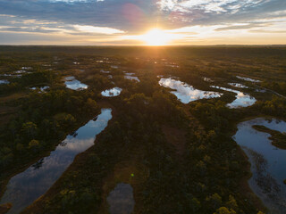 Beautiful landscape at the Estonian Seli swamp in the early morning at sunrise.