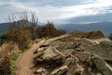 Polonina Wetlinska, Bieszczady mountain, Bieszczady National Park, Poland.