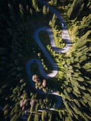 Aerial view of a road in green forests