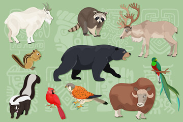 Naklejka premium Set of North America animals. Collection of snow goat, caribou, raccoon, chipmunk, skunk, musk ox, black bear, quetzal, kestrel. Concept of wild creature of Canada and USA forest. Vector illustration