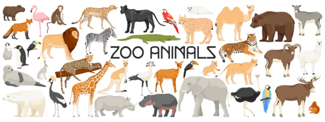 Fotobehang Collection of zoo animals. Set of capybara,flamingo, lion, elephant, giraffe, cheetah, bear, tiger, rhino, hippo, penguin, seal, parrot, goat, lama. Isolated on white background. Vector illustration © GN.STUDIO