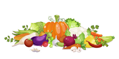 Various fresh vegetables. Healthy vegetarian food. Collection of pepper, pumpkin, carrot, mushroom, tomato, potato, corn, plants. Vitamin diet, autumn harvest. White background. Vector illustration