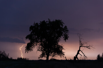 Night summer landscape with isolated trees and lightning. Bright flash. Thunder, Rain. Wind. Storm