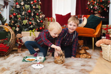 Two brothers sitting together and eating cookies under the christmas tree - blonde caucasian boys