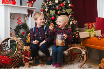Two brothers sitting together and eating cookies under the christmas tree - blonde caucasian boys