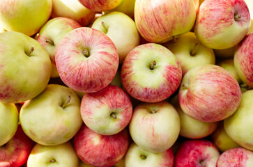 Bunch of organic fresh apples on a market. Overhead view of fresh organic apples. Healthy eating concept