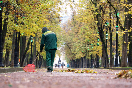 Janitor sweeping the fallen leaves on autumn street. Cleaning leaves in the city, street sweeper with broom, fall season