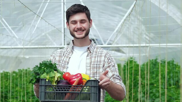 Guy working at harvest shows a drawer full of healthy vegetables
