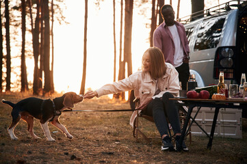 Man and woman are together in the forest with the dog near the car