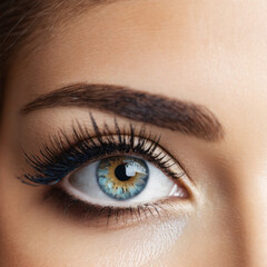 Obraz premium close up of a female eye