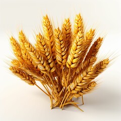 Close up of Wheat Ears Isolated on White Background. Wheat Grain