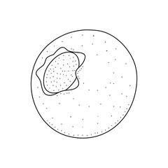 Hand drawn sketch black and white blueberry branch, fruit, leaf. Vector illustration. Elements in graphic style label, card, sticker, menu, package. Engraved style.