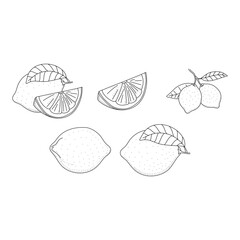Lemon line icons set vector illustration isolated on white background