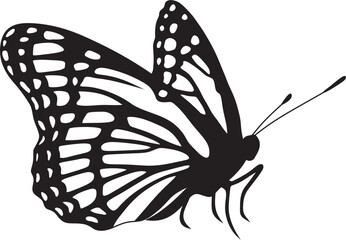 Vector monochrome butterfly Beautiful insect with big black wings. Drawing of a flying beetle.Suitable for sandblasting, laser and plotter cutting..