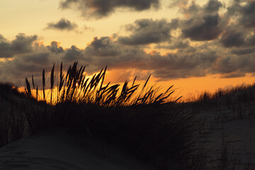 Sonnenuntergang hinter D&uuml;nengras