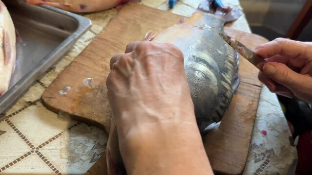 a woman cleans scales from a river carp fish on a cutting board with a knife close-up
